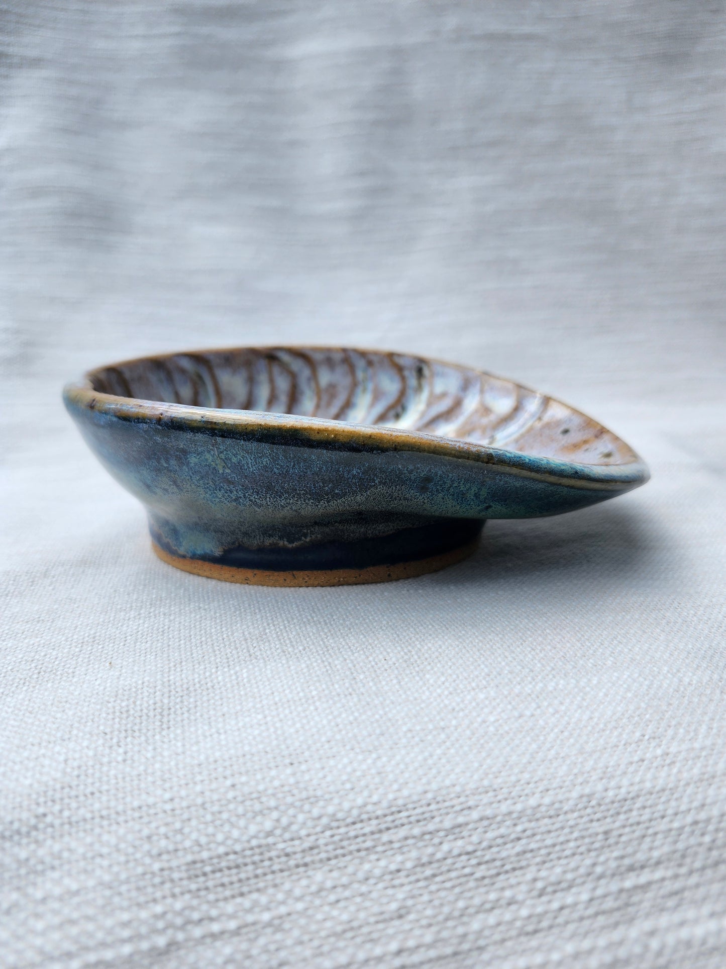Seashell bowl